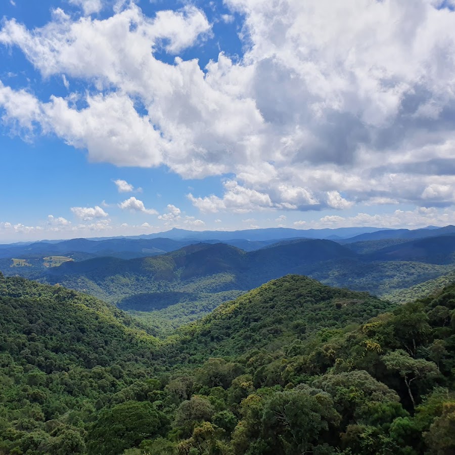 Nossos Kms Percorridos