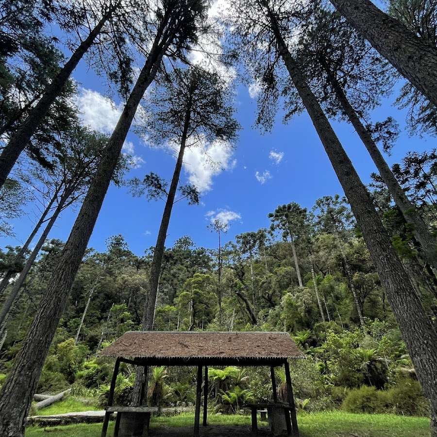 parque estadual Campos de Jordão