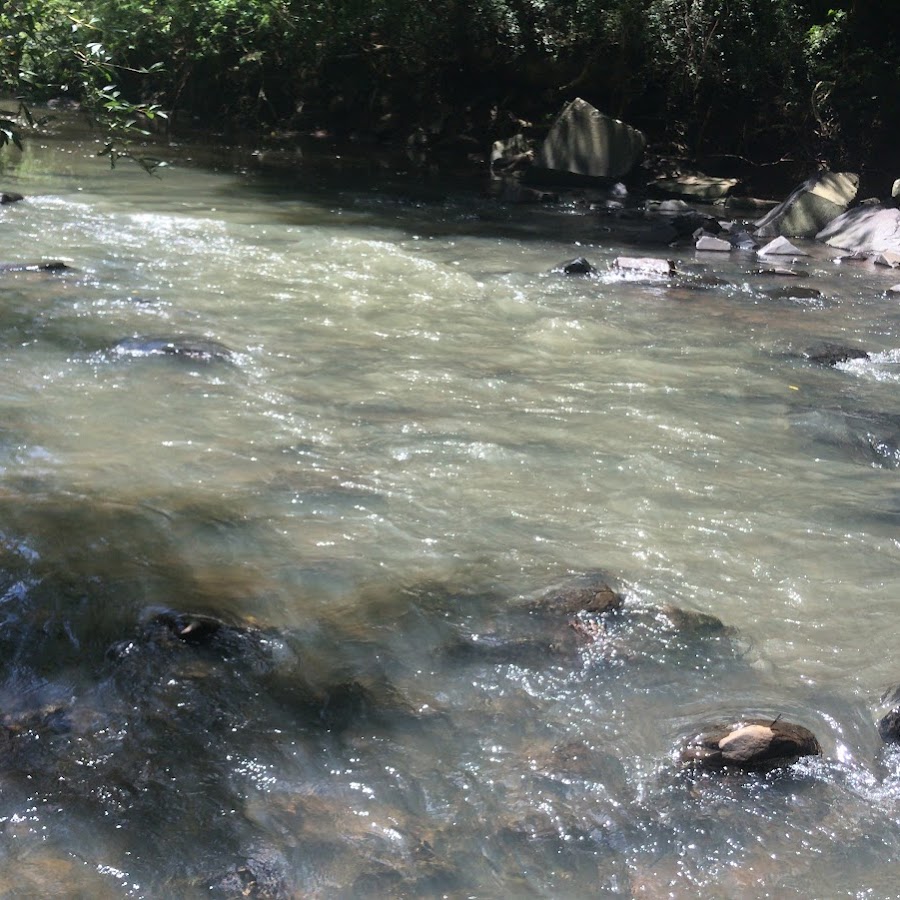 Camping - Parque Municipal Água Mineral