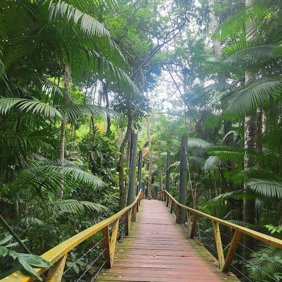 Parque Municipal do Mindu