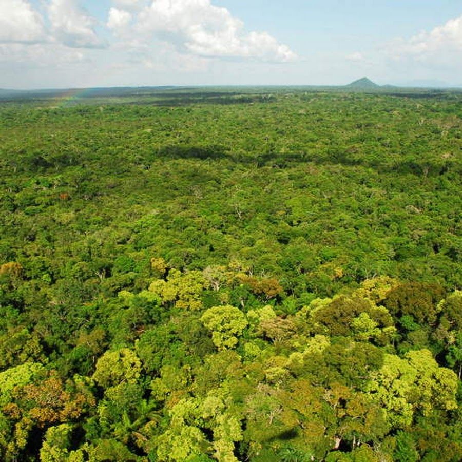 Parque Nacional Viruá