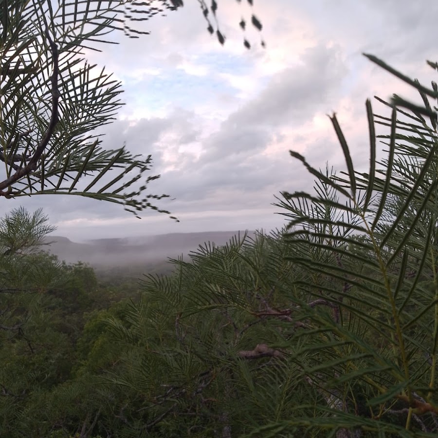 Pátio ônibus e Máquinas Prefeitura Bertolinia