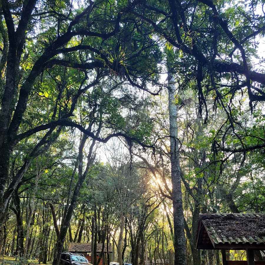 Parque da uva Videira Ponto de apoio municipal