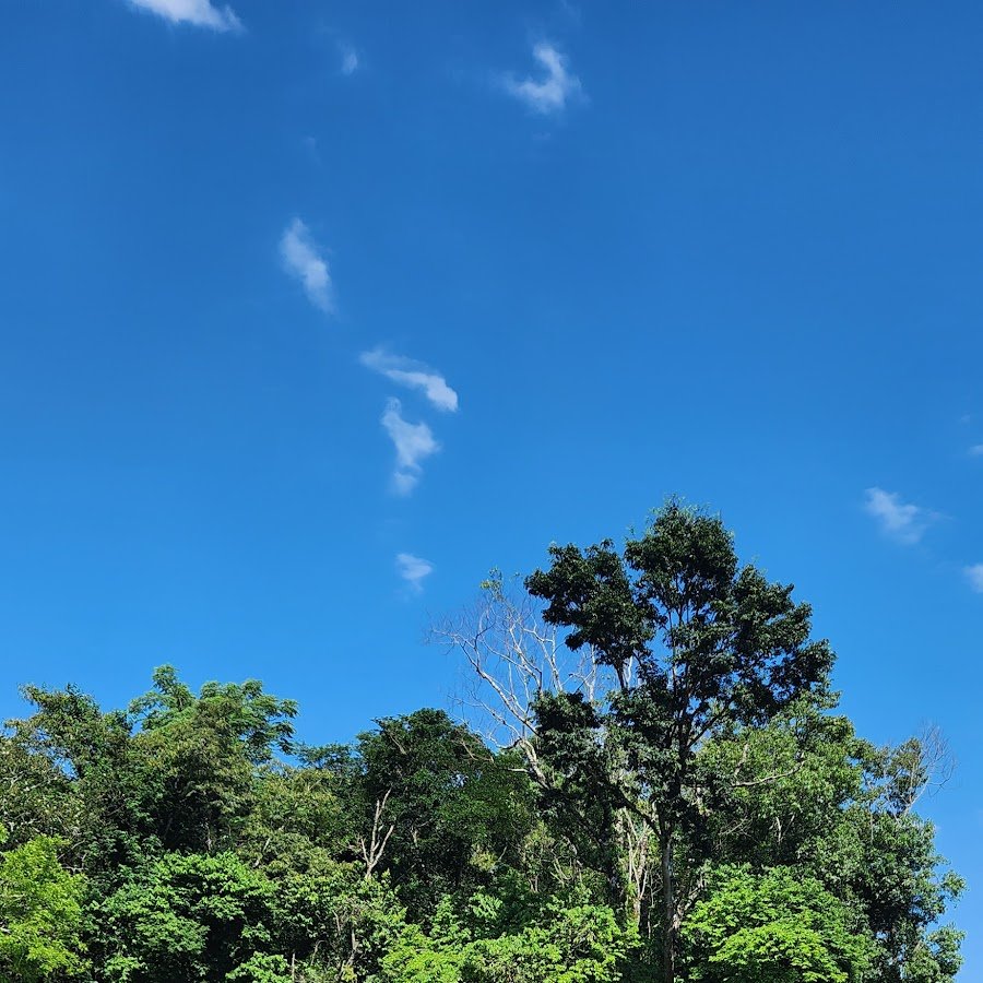 Portico Bom Jesus o Oeste SC
