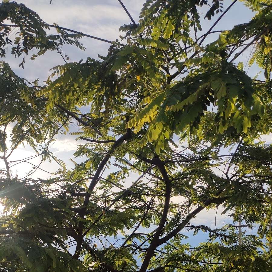 Praça do Alta Villa