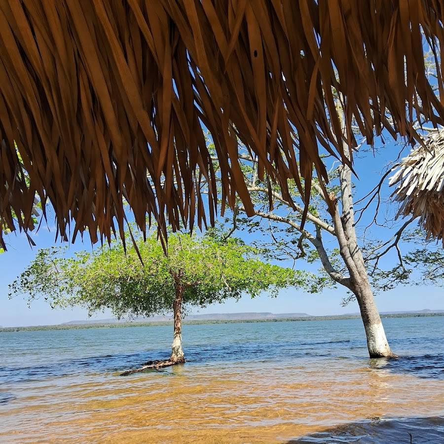 Praia do caju - Nova Iorque