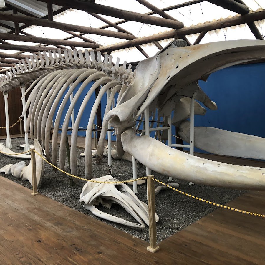 Projeto Franca Austral - Centro de Visitantes