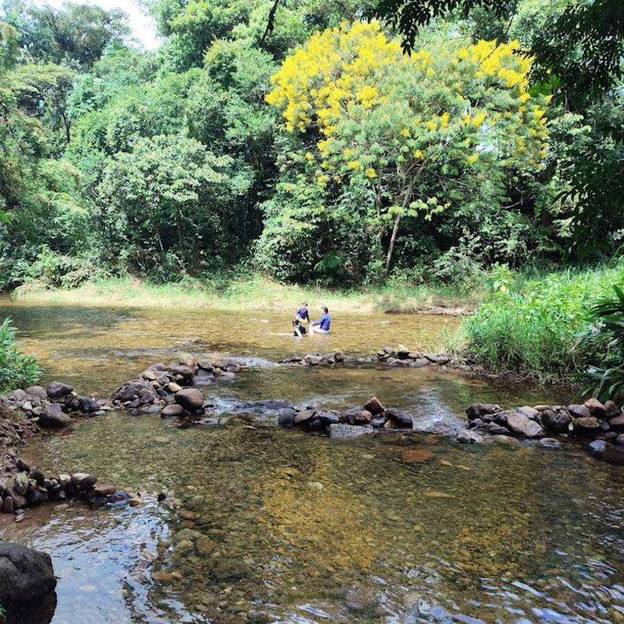 Rio do Nunes em Antonina PR