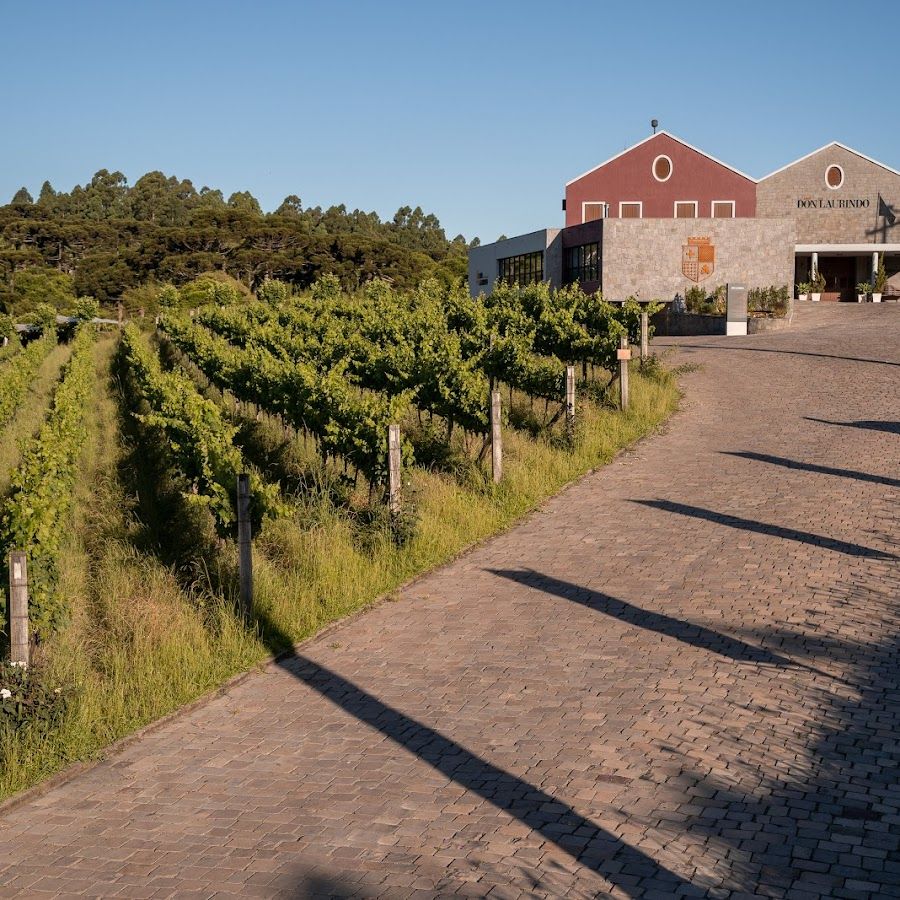 Vinícola Don Laurindo