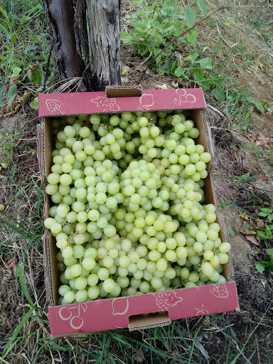 Agro. Santa Isabel