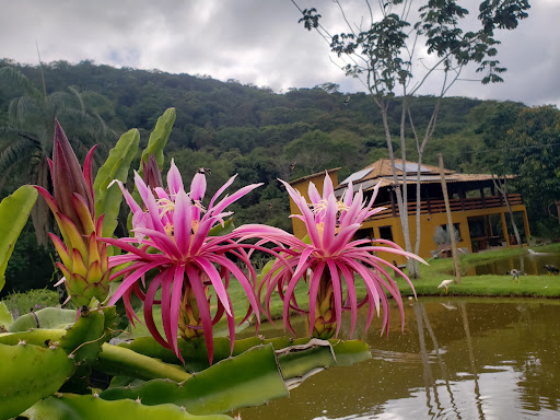 Balneário Sô Moço – Santa Bárbara