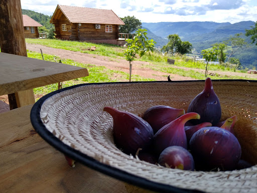 Camping - Morro do Vento