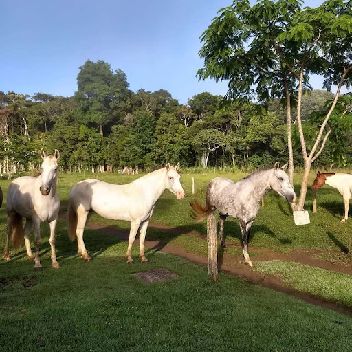 Rancho Semani – Itacaré
