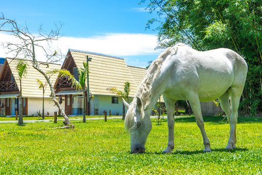 Camping - Villa Park Chalés