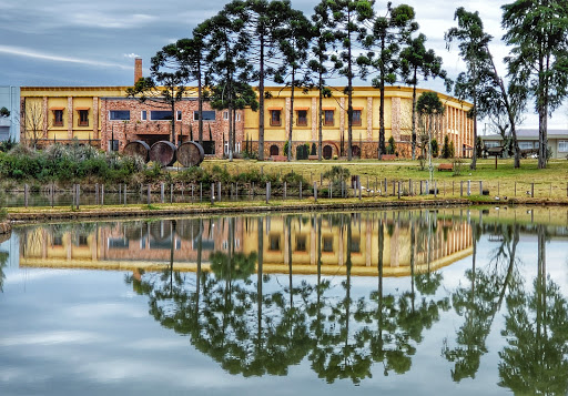 Vinícola Campestre