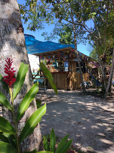 Camping 3 Passarinhos