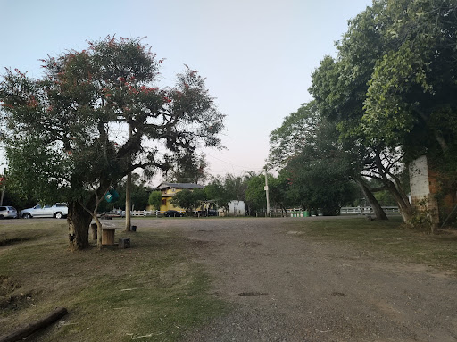 Camping Bicho Véio