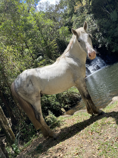 Camping Cachoeira dos Solais