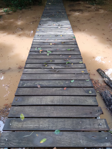Camping Camboeiro