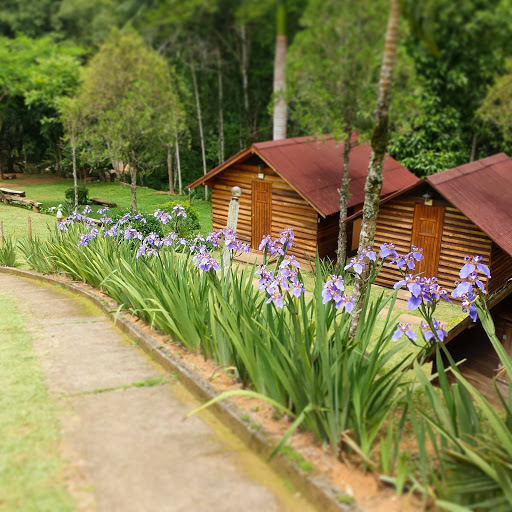Camping Canto dos Pássaros