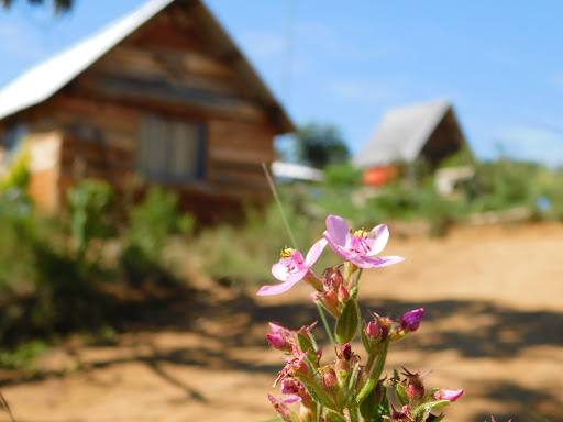 Camping Chácara RF (Situação Incerta)