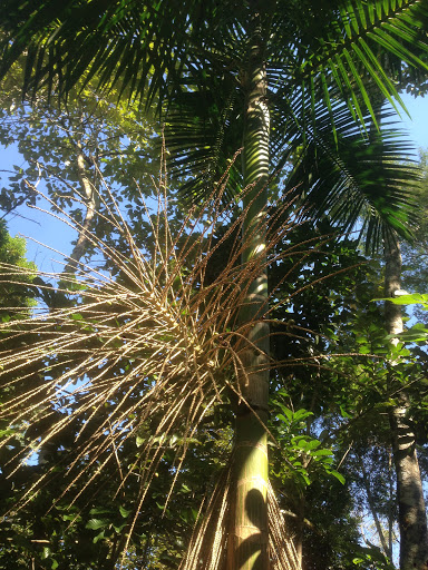 Camping Esconderijo da Serra