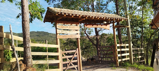 Camping Estrelástico