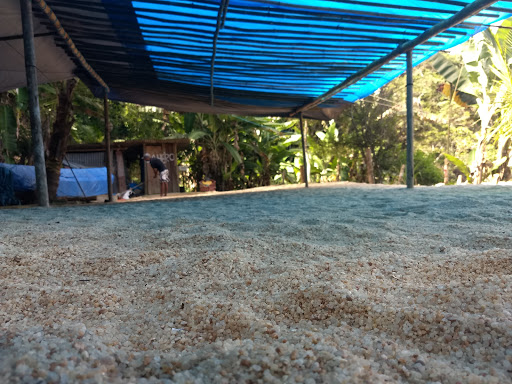 Camping Ezequiel, do