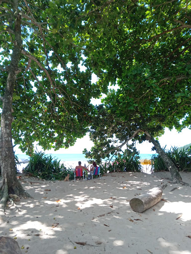 Camping Maria Branca