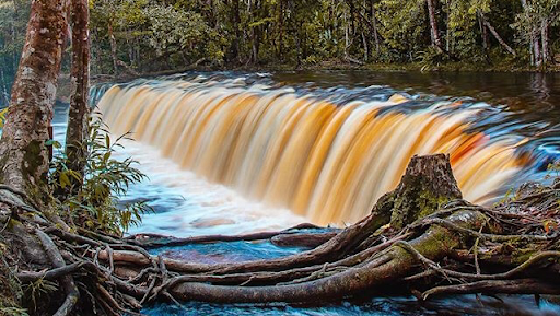 Camping Natal Falls (Cachoeira Natal)