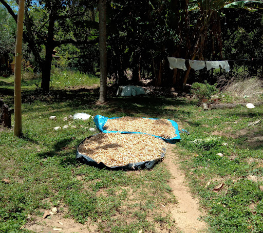 Camping Seu Manoel