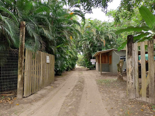 Camping Ubatumirim (Damásio)