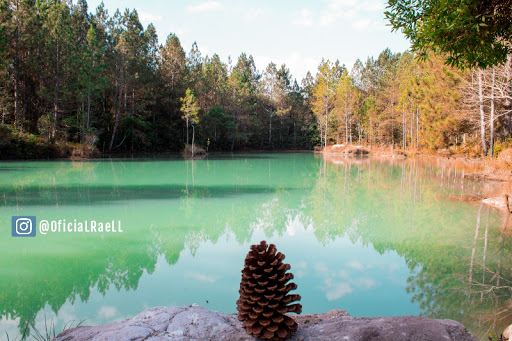 Camping Verde Perto