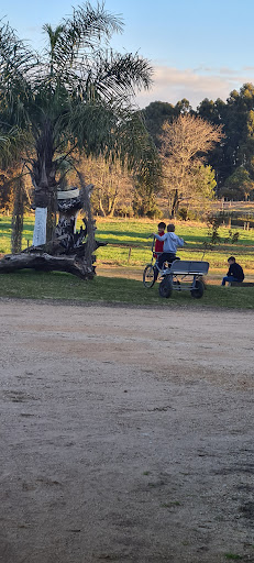 Camping Witmarsum