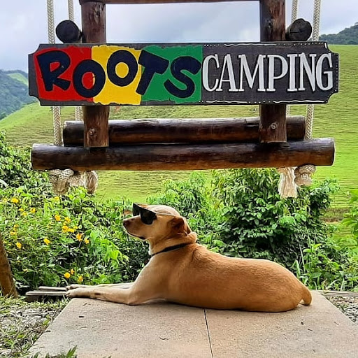 Roots Camping Sana