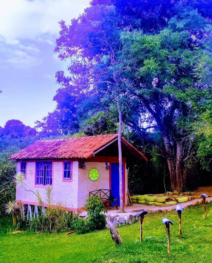 Camping - Tara Eco Parque