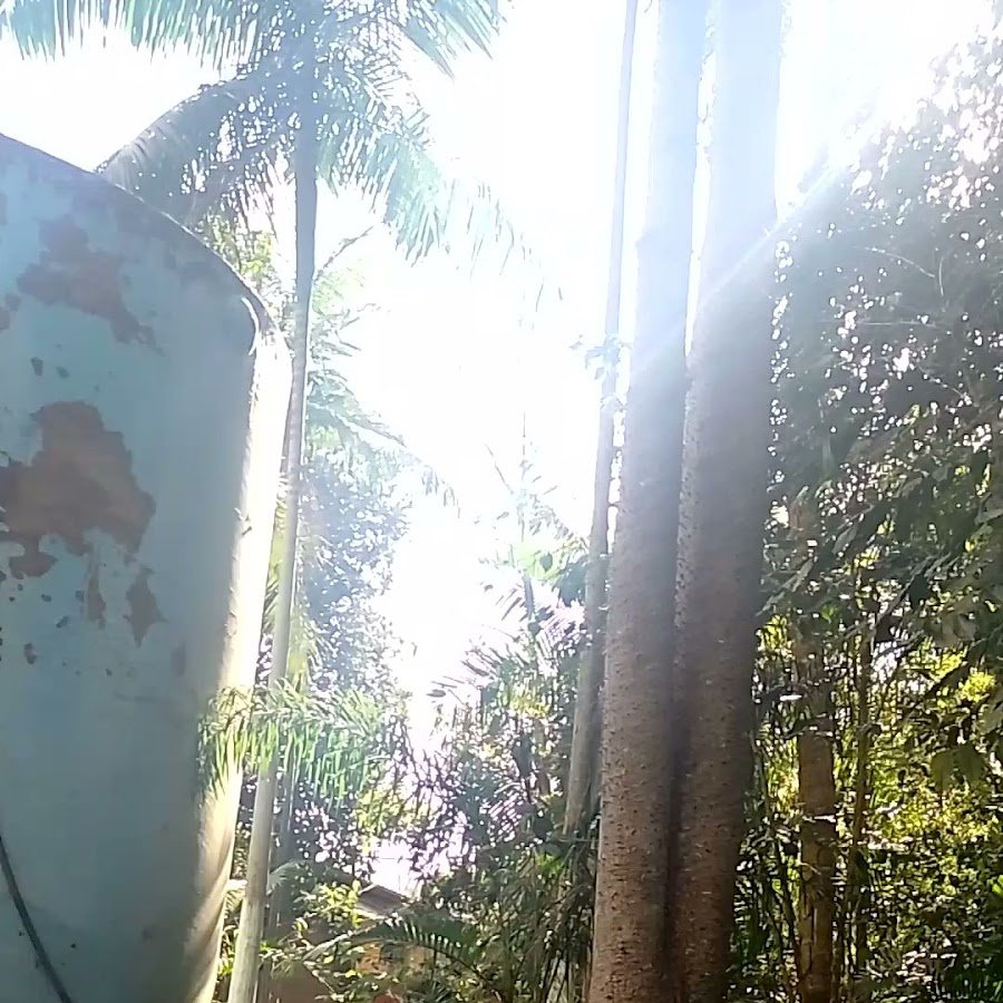 Água potável gratuita