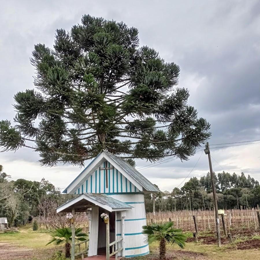 Apoio RV – Adega Sabor Sul – Pinhão