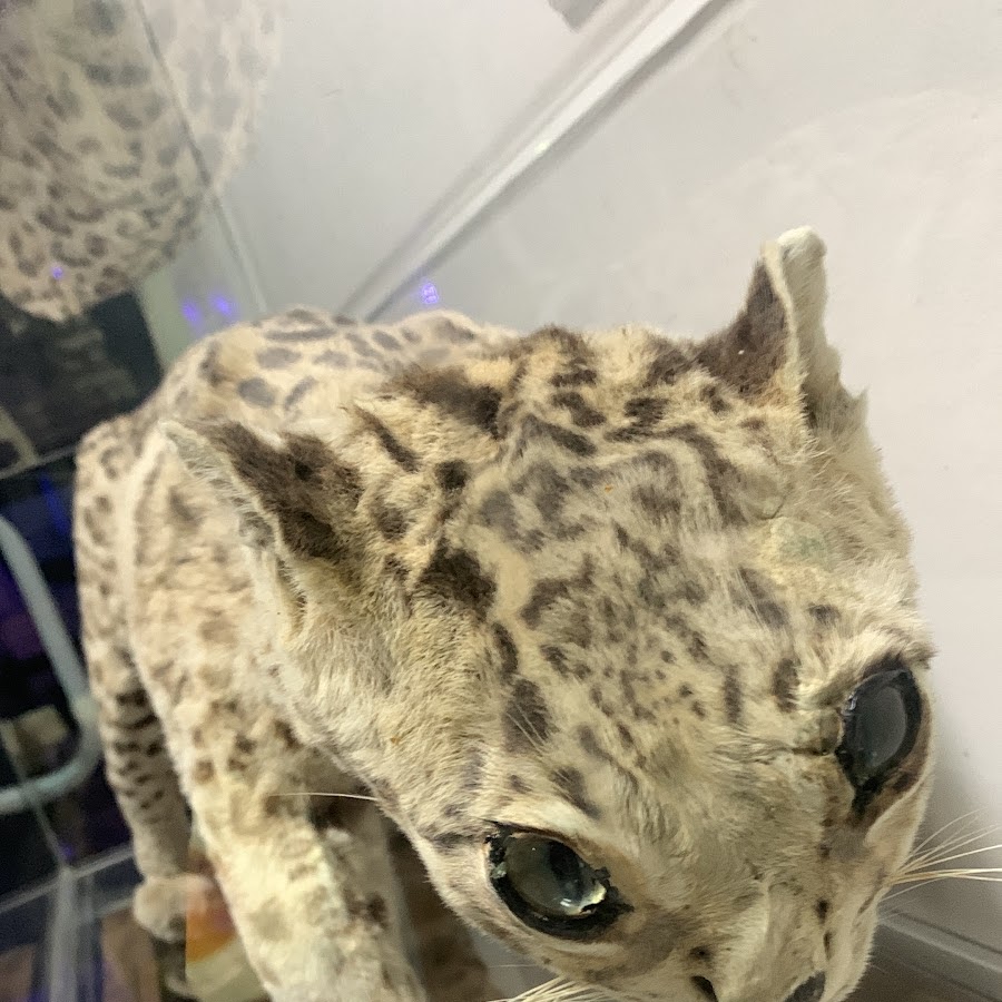 Apoio RV – Base Operacional 03, Auto Pista Planalto Sul (Arteris) – Itaiópolis