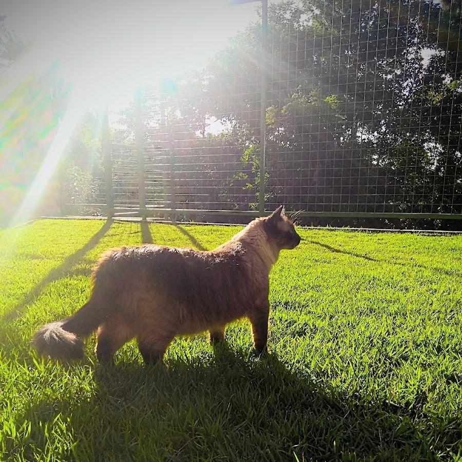 Apoio RV – Chalé Cruzeiro do Imperador – Juiz de Fora