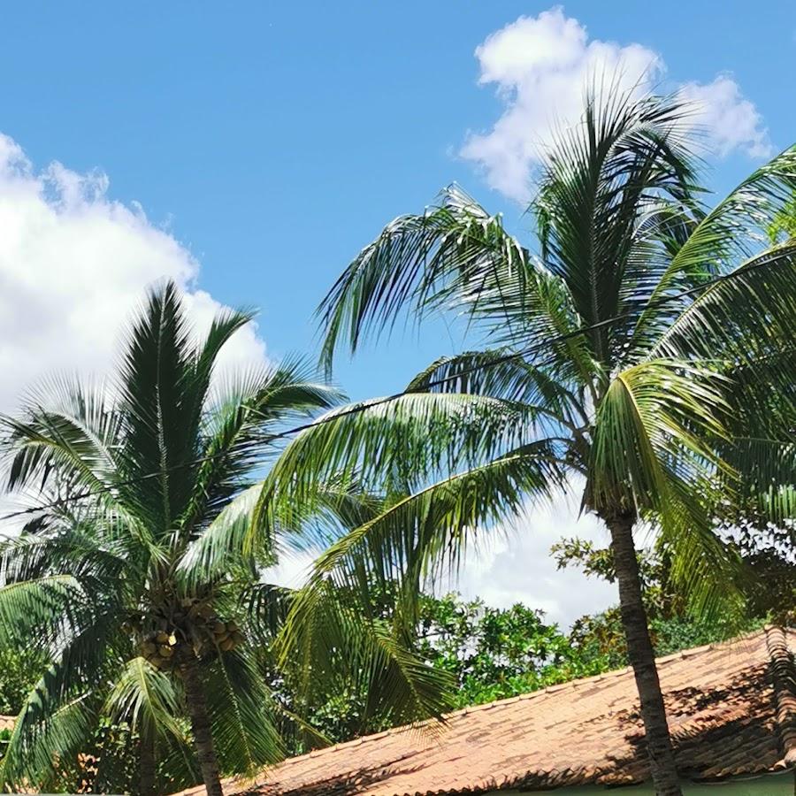 Praia do Prata - Choupana do Primo