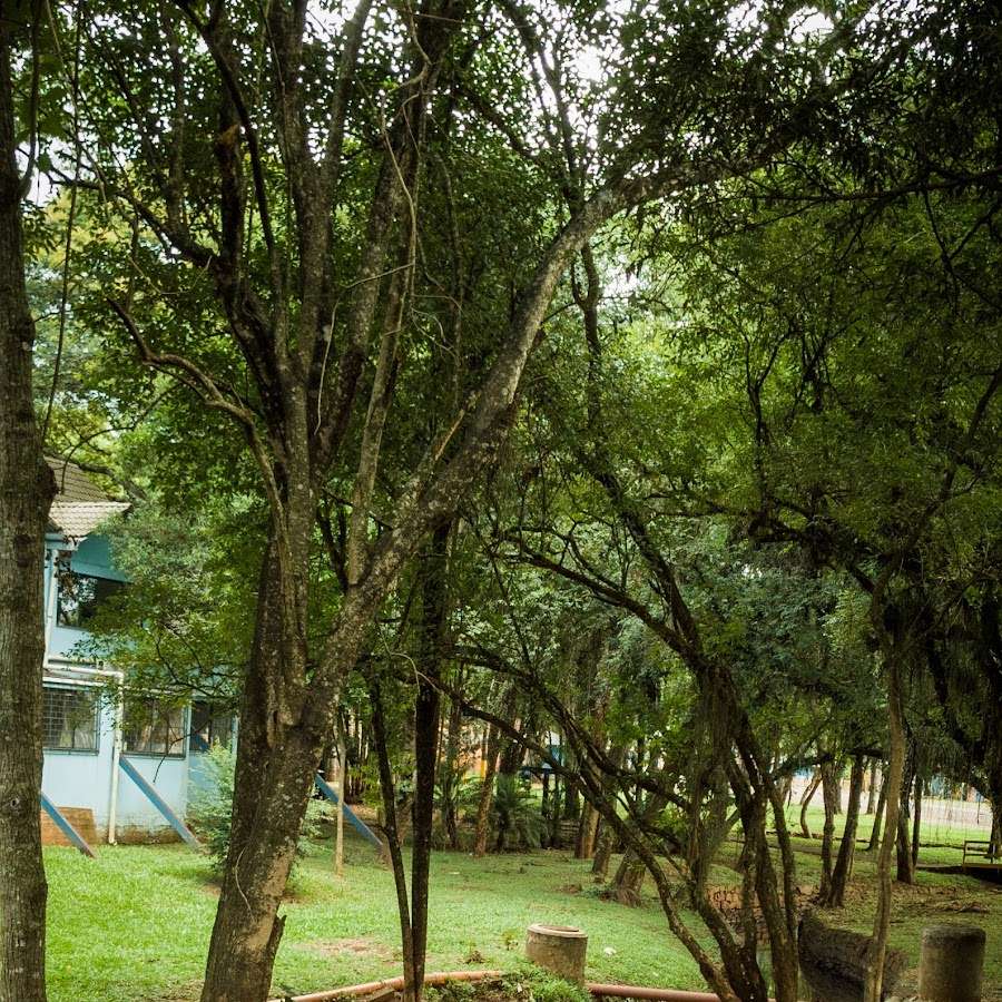 Apoio RV – Parque De Exposição Jayme Canet Júnior – Fco. Beltrão