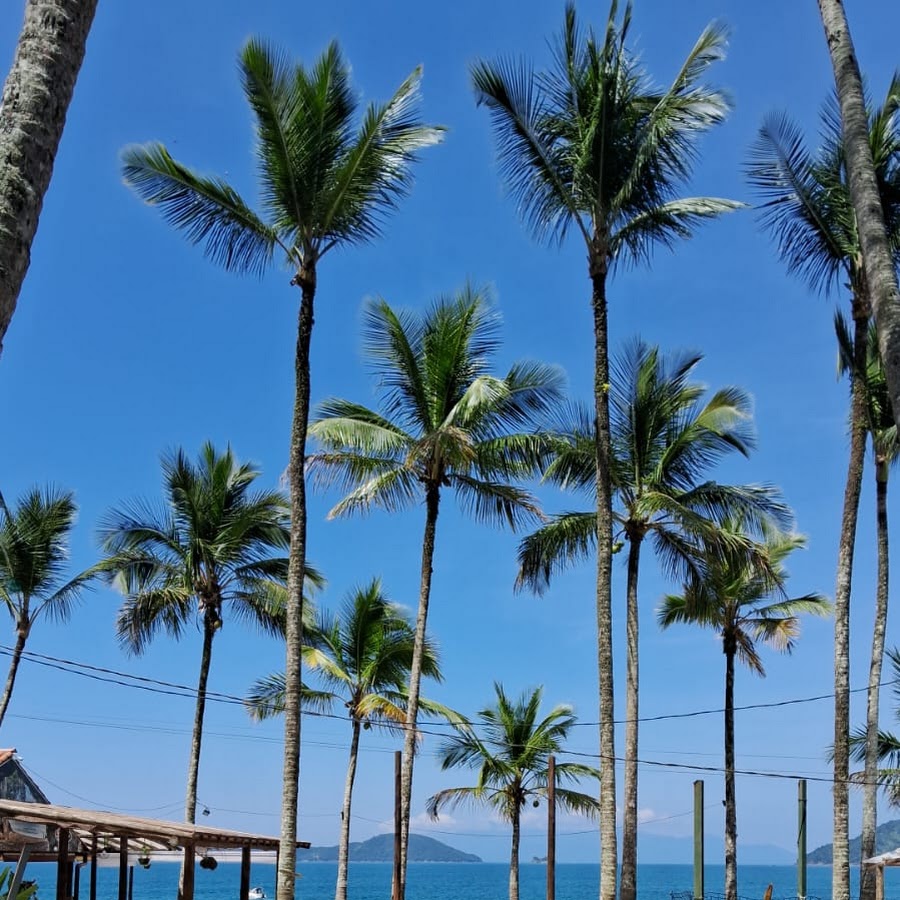 Apoio RV – Pedra Negra Park – Ubatuba