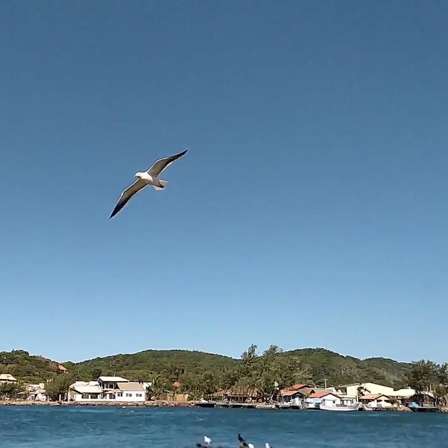 Apoio RV Wild – Pesca Com Botos – Laguna