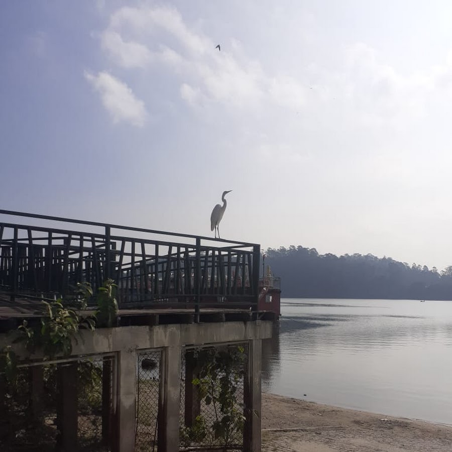 Bairro rico, noite tranquila