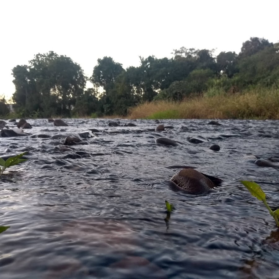 Camping Balneário Tia Zina