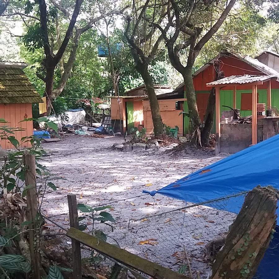 Camping do Dinho