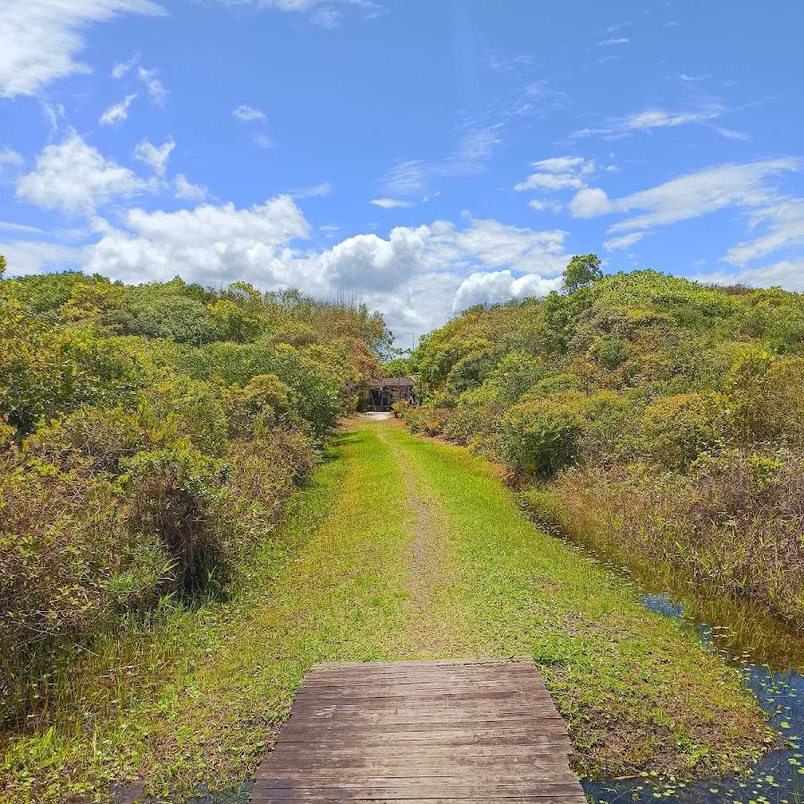 Camping Dona Black (Da Preta)