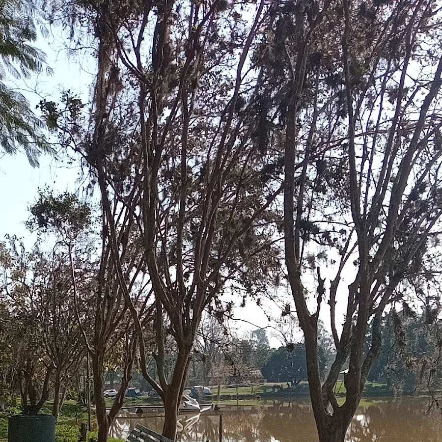 Camping e Pousada Rural Cambirela