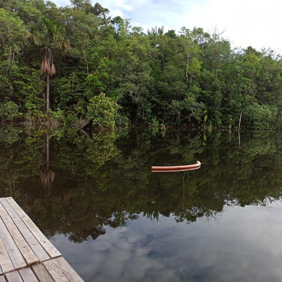 Camping Ecoforest Adventure